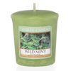 Wild Mint - Sampler