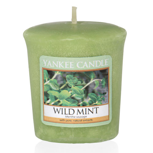 Wild Mint - Sampler