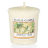 Linden Tree - Sampler