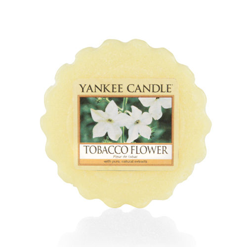 Tobacco Flower - Tart