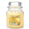 Flowers in the Sun - Medium Jar
