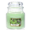 Wild Mint - Medium Jar