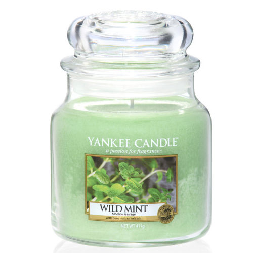 Wild Mint - Medium Jar