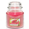 Pink Dragonfruit - Medium Jar