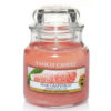 Pink Grapefruit - Small Jar