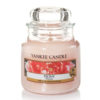 Peony - Small Jar