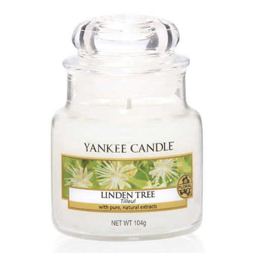 Linden Tree - Small Jar
