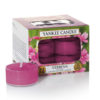 Verbena - Tealights