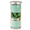 Aloe Water - Large Pillar