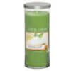 Vanilla Lime - Large Pillar