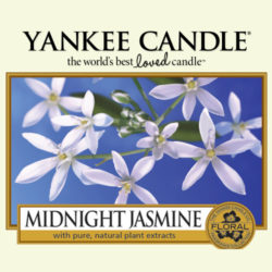 Midnight Jasmine