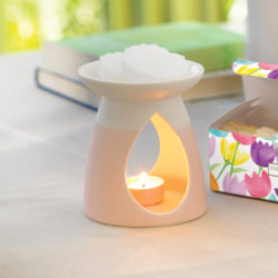 Diffuseurs de senteurs Tart Warmer