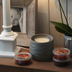 Noah Grey - Meltcup Warmer with timer
