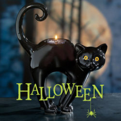 Black Cat