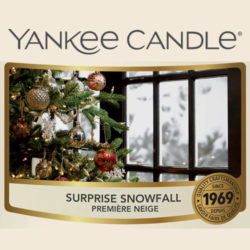 Surprise Snowfall