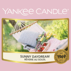 Sunny Daydream