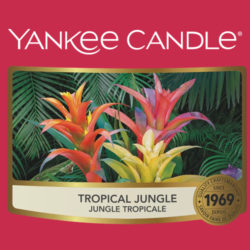 Tropical Jungle