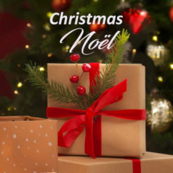 The Perfect Christmas