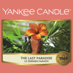 The Last Paradise