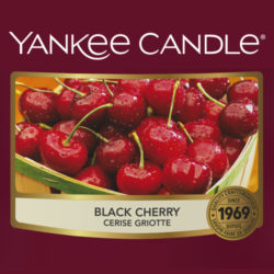 Black Cherry