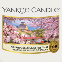 Sakura Blossom Festival