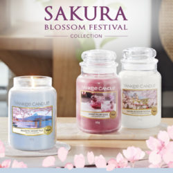Sakura Blossom Festival